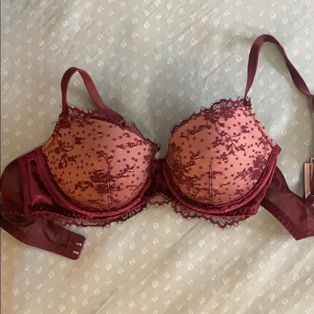 Velvet and Lace bra